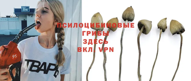 Галлюциногенные грибы Magic Shrooms  Радужный 